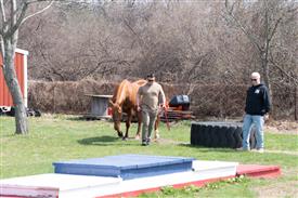 LR-WRF 0402026 Retreat-3390